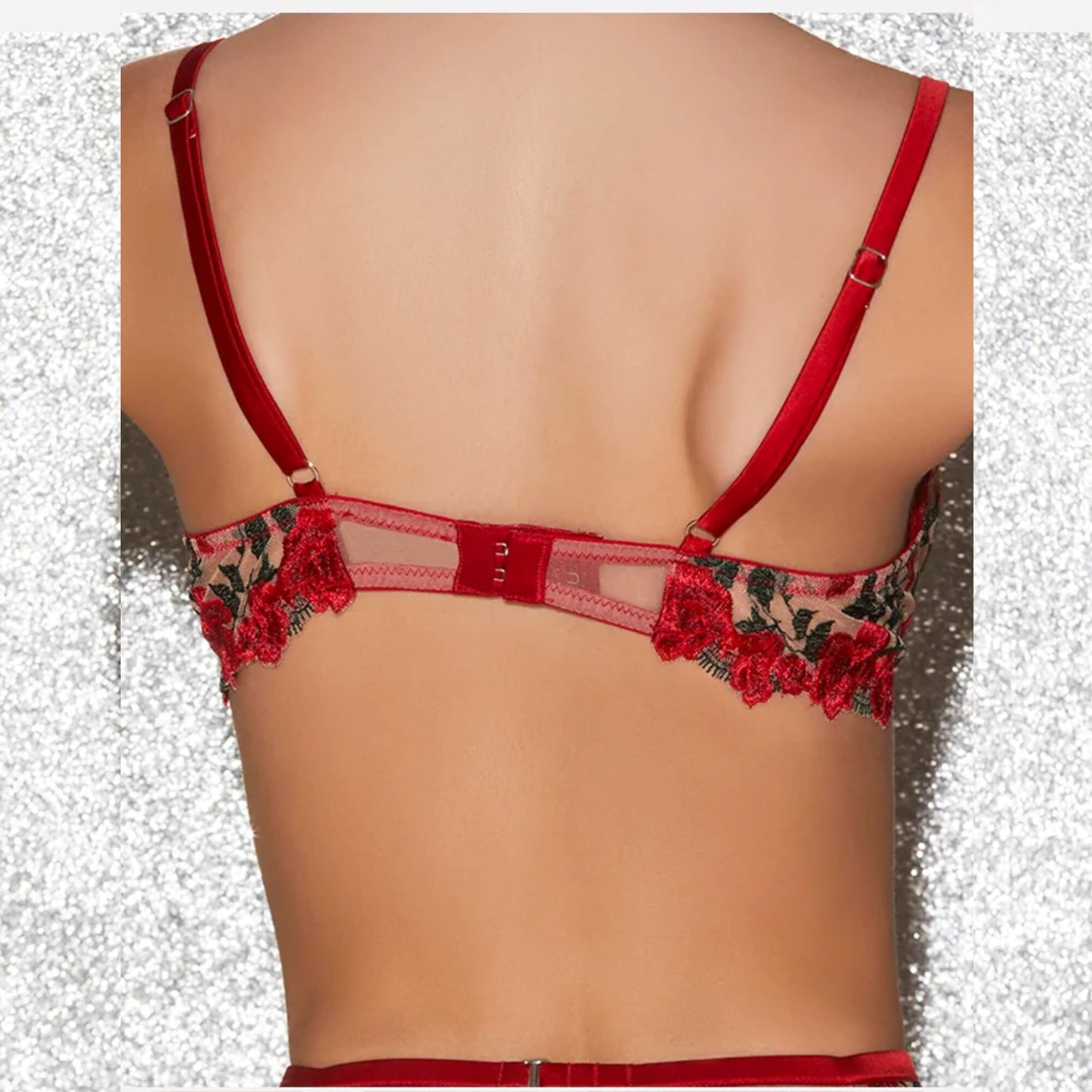 Red Floral Embroidery Lace Sheer See Through Lingerie Set